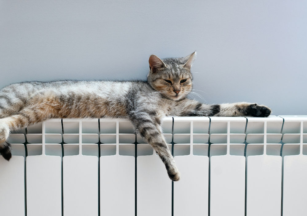 Radiateur électrique